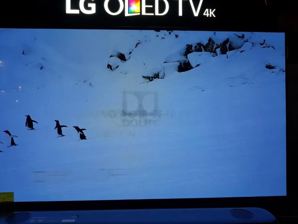 LG burn in oled
